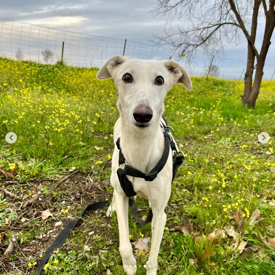 multimedia-foto88197-807-1