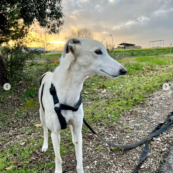 multimedia-foto88198-807-1