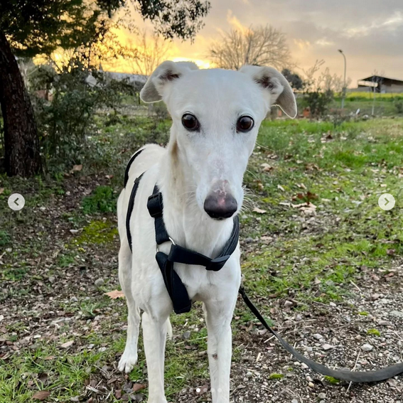 multimedia-foto88199-808-1