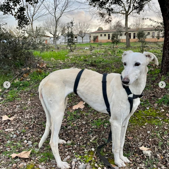 multimedia-foto88200-808-1