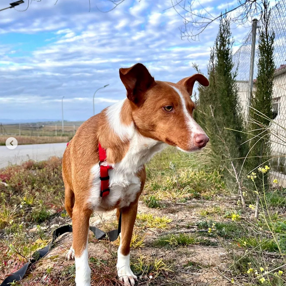 multimedia-foto88220-317-1