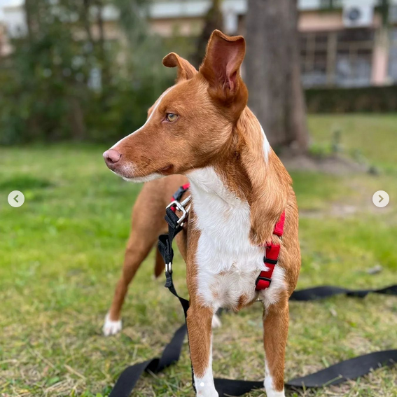 multimedia-foto88221-317-1