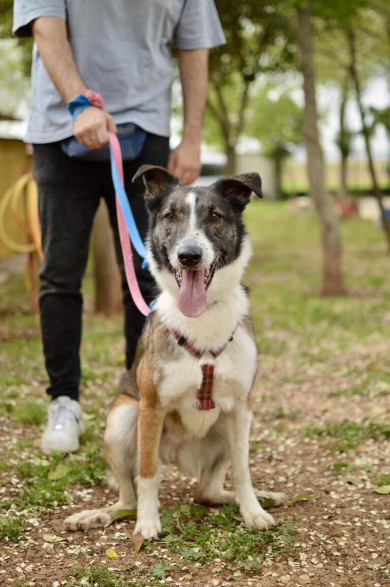 multimedia-foto88232-96-1