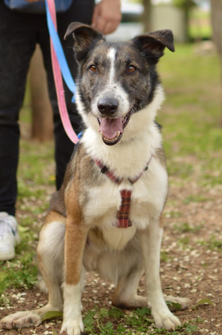 multimedia-foto88233-96-1