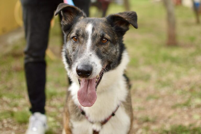 multimedia-foto88235-97-1