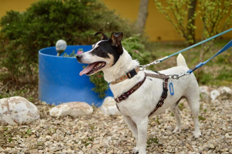 multimedia-foto88239-355-1