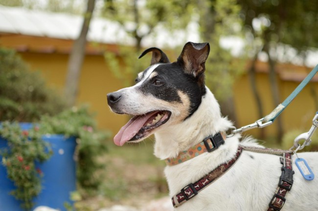 multimedia-foto88242-31-1