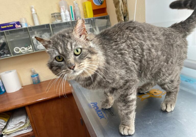 multimedia-foto88252-254-1