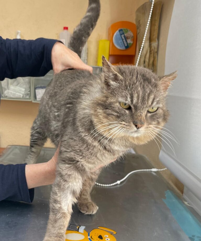 multimedia-foto88253-254-1