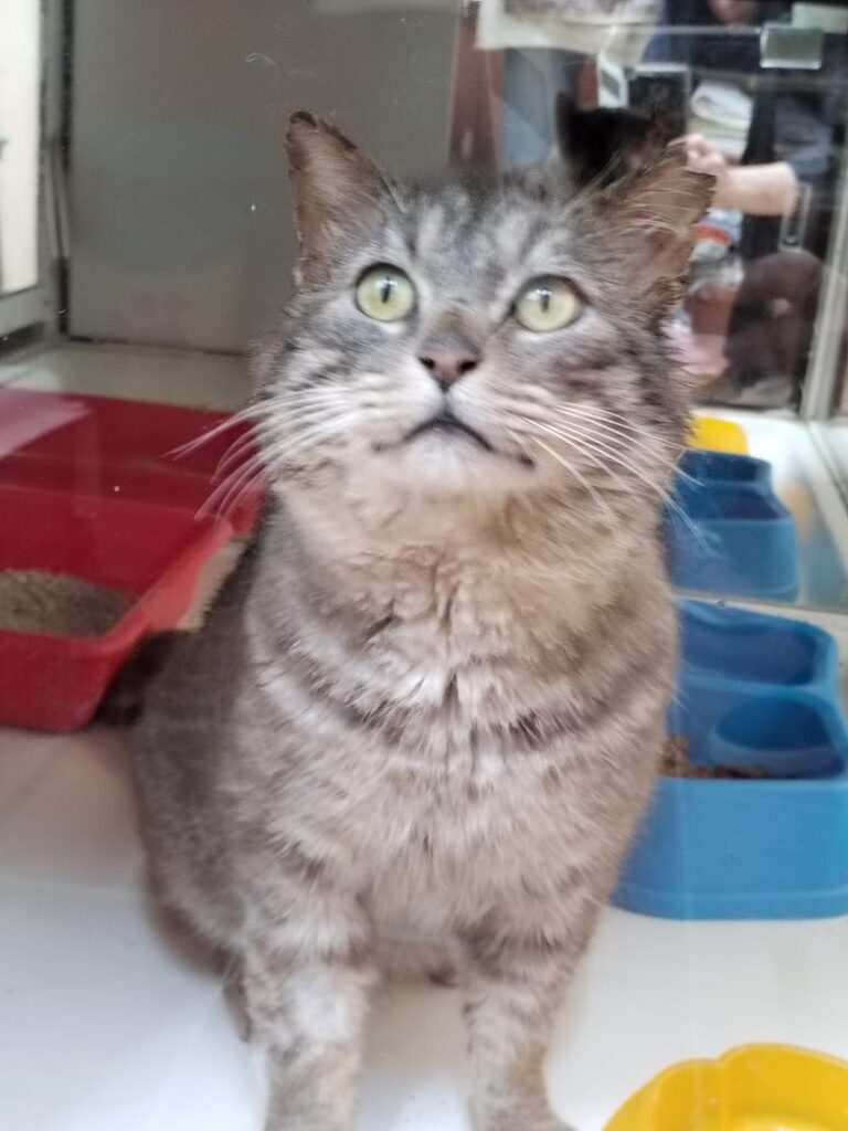 multimedia-foto88255-254-1