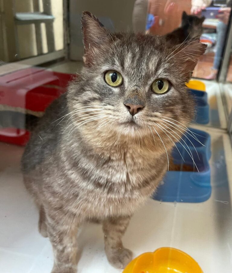 multimedia-foto88256-255-1