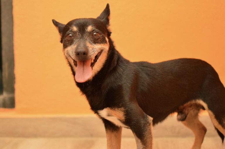 multimedia-foto88265-277-1