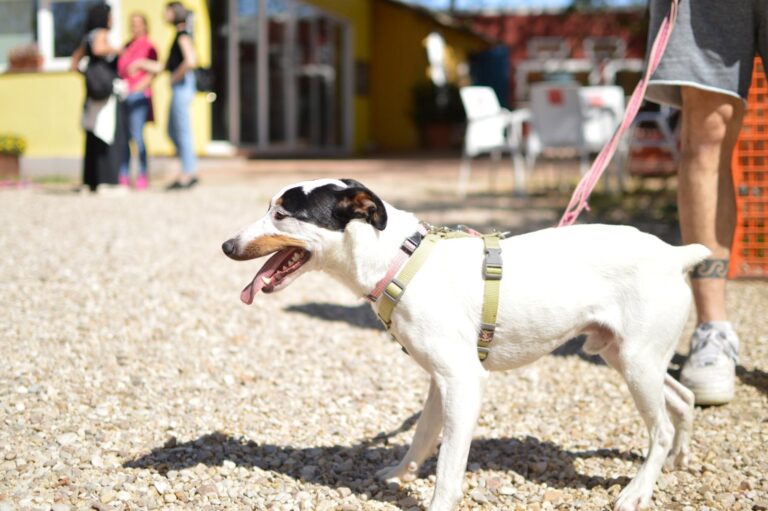 multimedia-foto88273-440-1