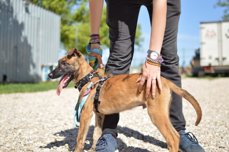 multimedia-foto88277-493-1