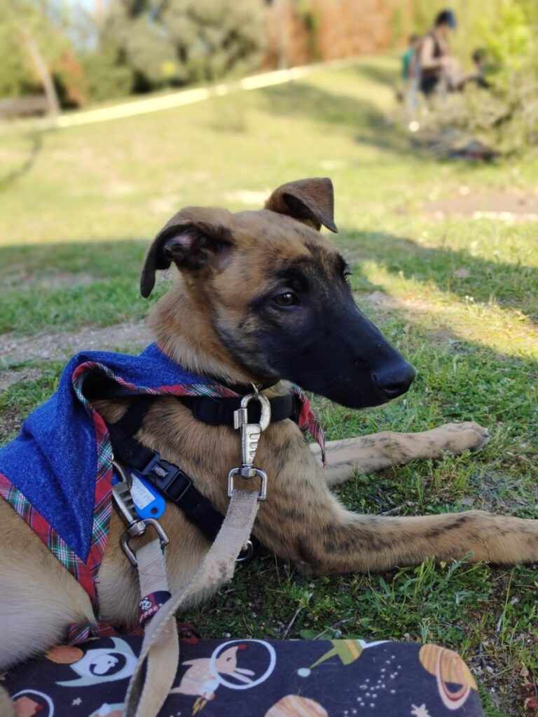 multimedia-foto88281-16-1