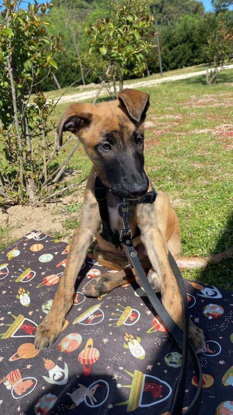 multimedia-foto88282-16-1