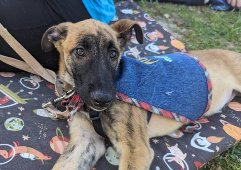 multimedia-foto88283-16-1