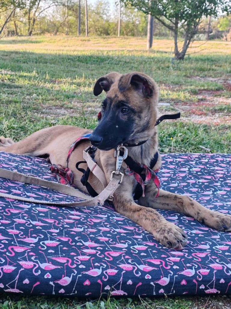 multimedia-foto88284-17-1