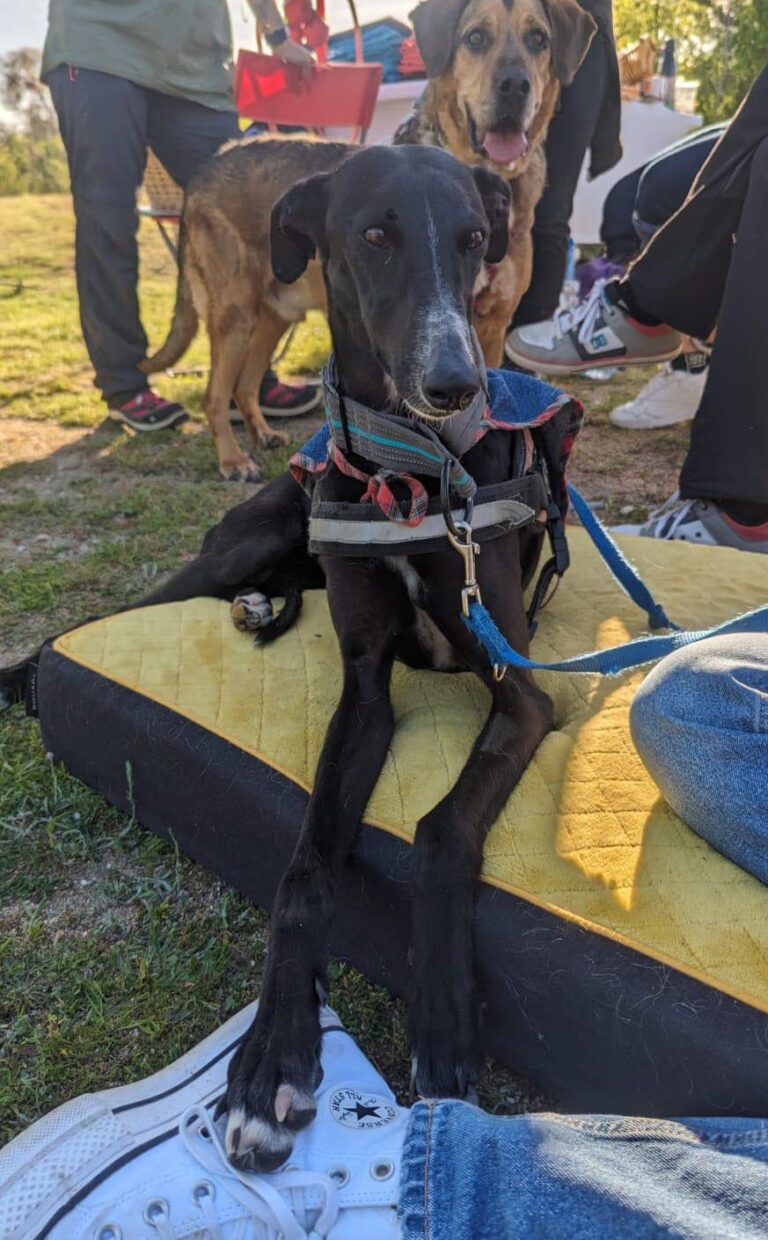 multimedia-foto88290-125-1