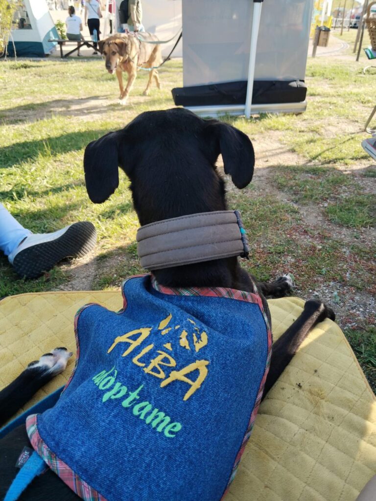 multimedia-foto88293-126-1