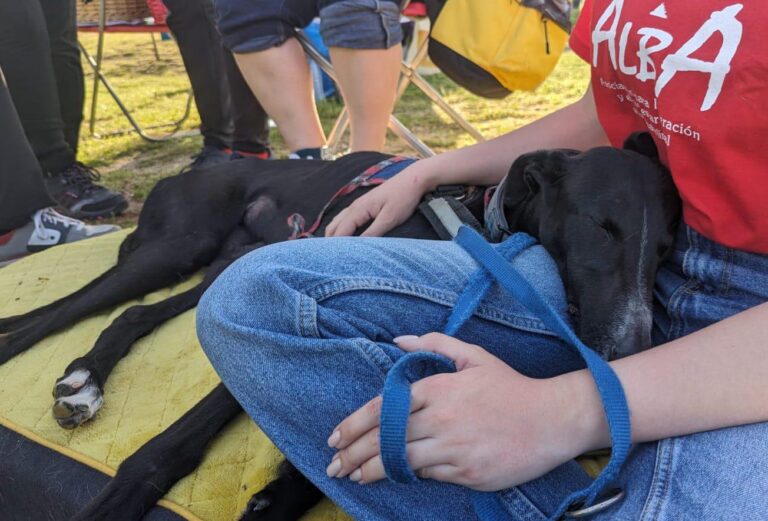 multimedia-foto88294-126-1