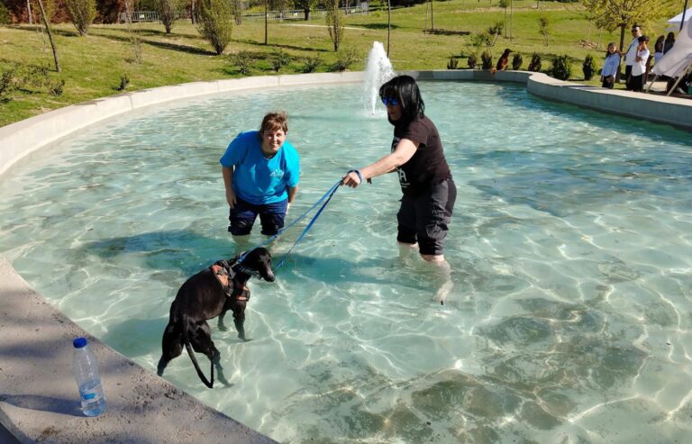 multimedia-foto88295-169-1