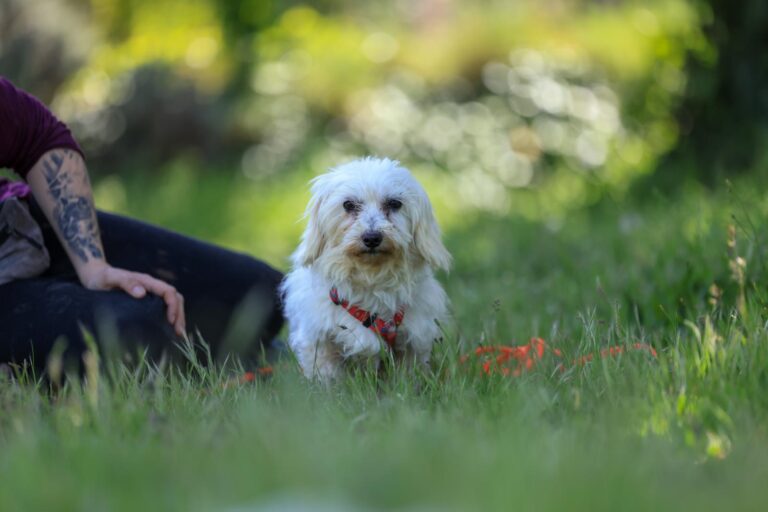 multimedia-foto88312-666-1