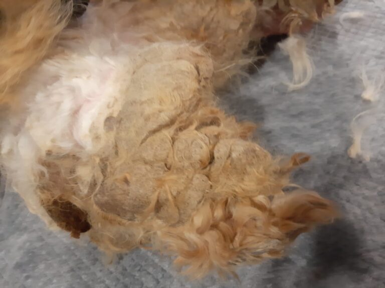 multimedia-foto88314-402-1