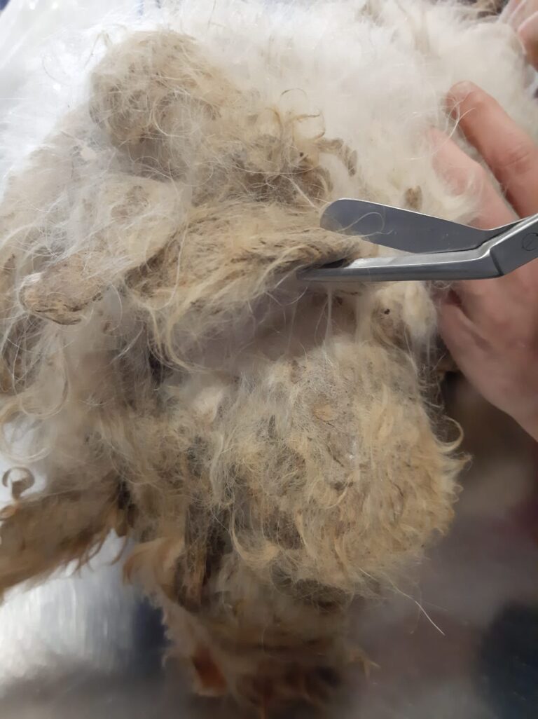 multimedia-foto88315-402-1