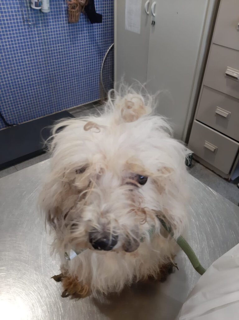 multimedia-foto88316-402-1