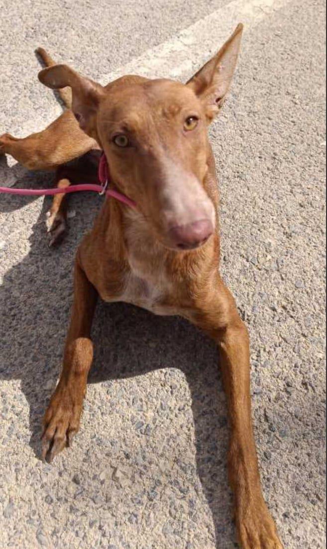 multimedia-foto88322-119-1