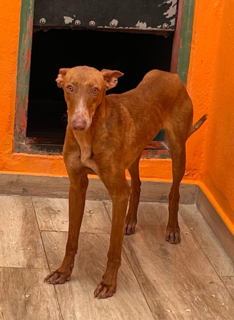 multimedia-foto88323-120-1