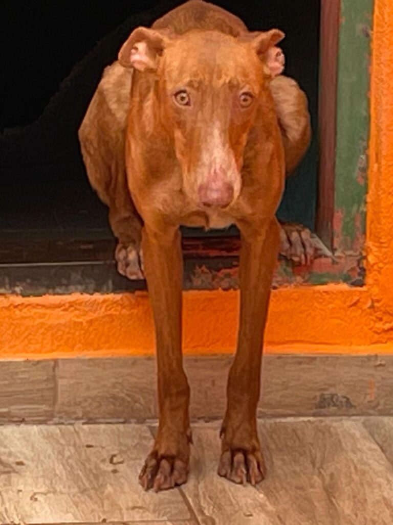 multimedia-foto88324-120-1