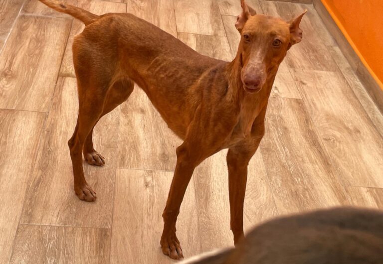 multimedia-foto88326-120-1