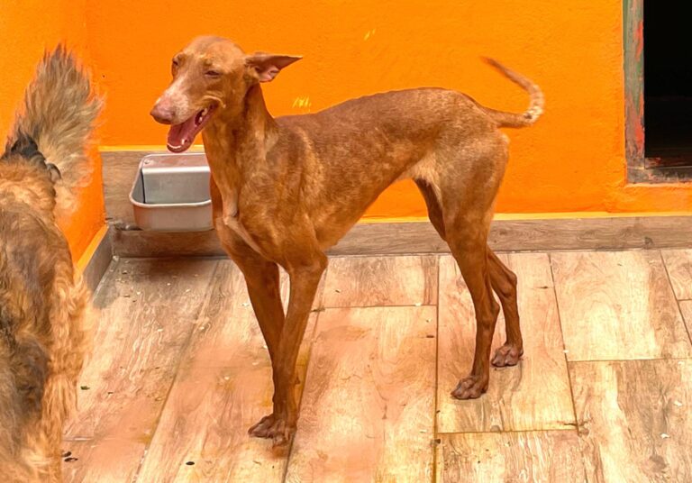 multimedia-foto88327-121-1