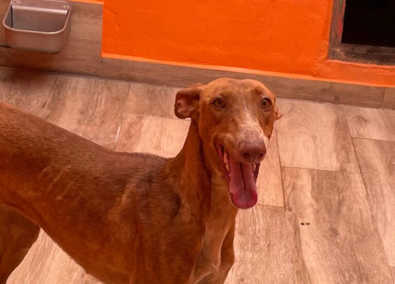 multimedia-foto88329-121-1