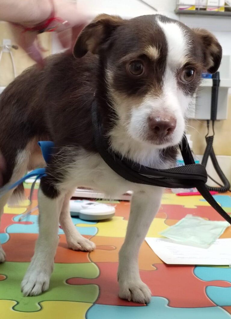 multimedia-foto88332-883-1