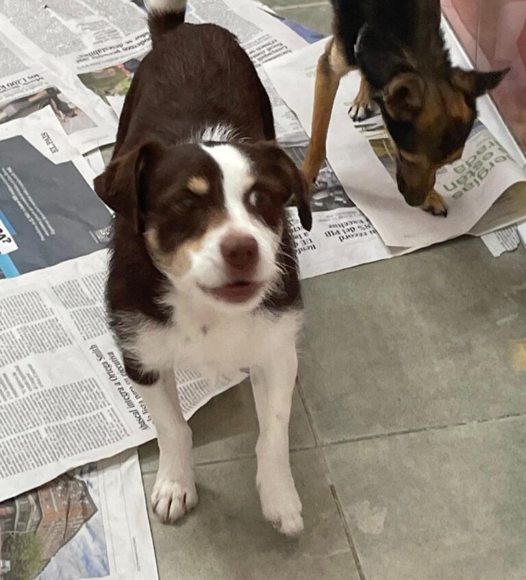 multimedia-foto88334-883-1