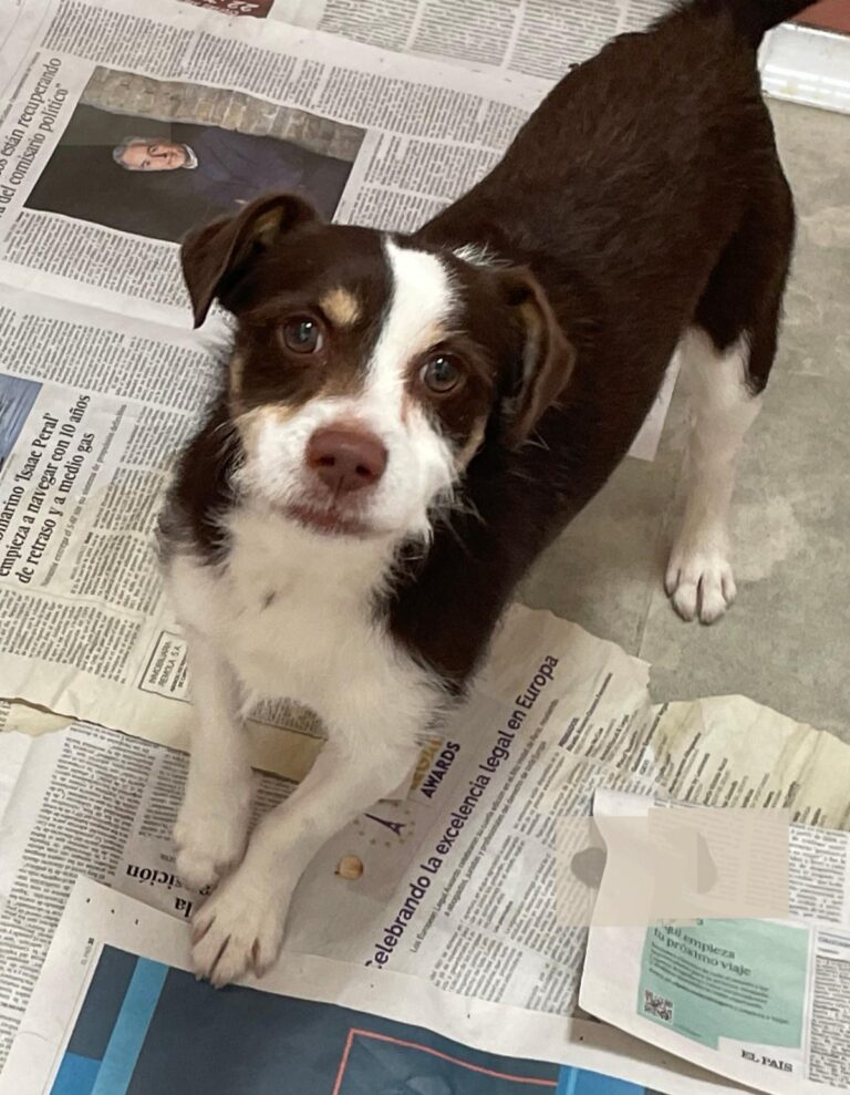 multimedia-foto88335-883-1