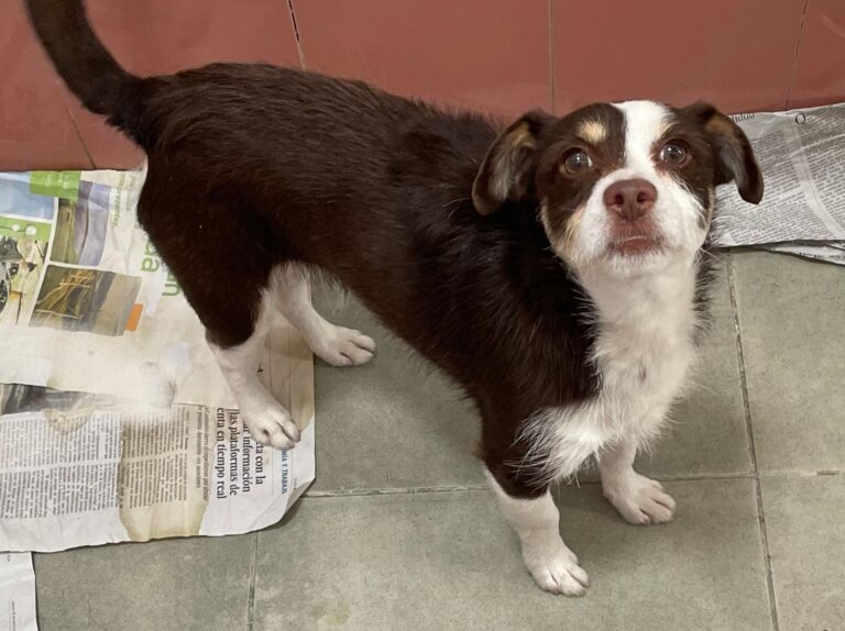 multimedia-foto88336-884-1