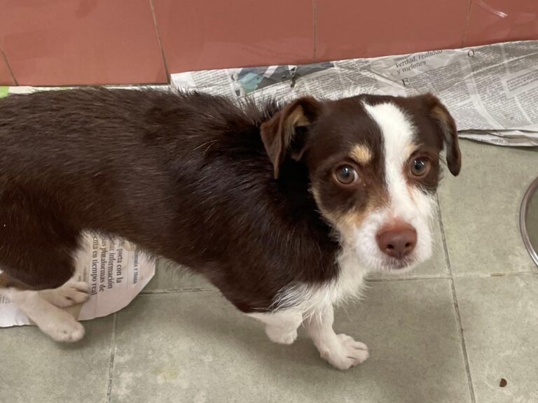 multimedia-foto88337-884-1