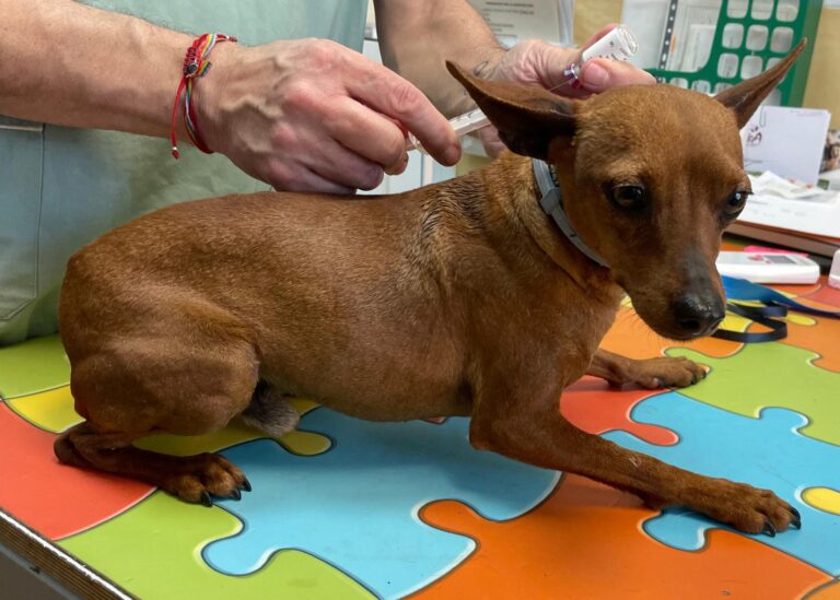 multimedia-foto88373-533-1