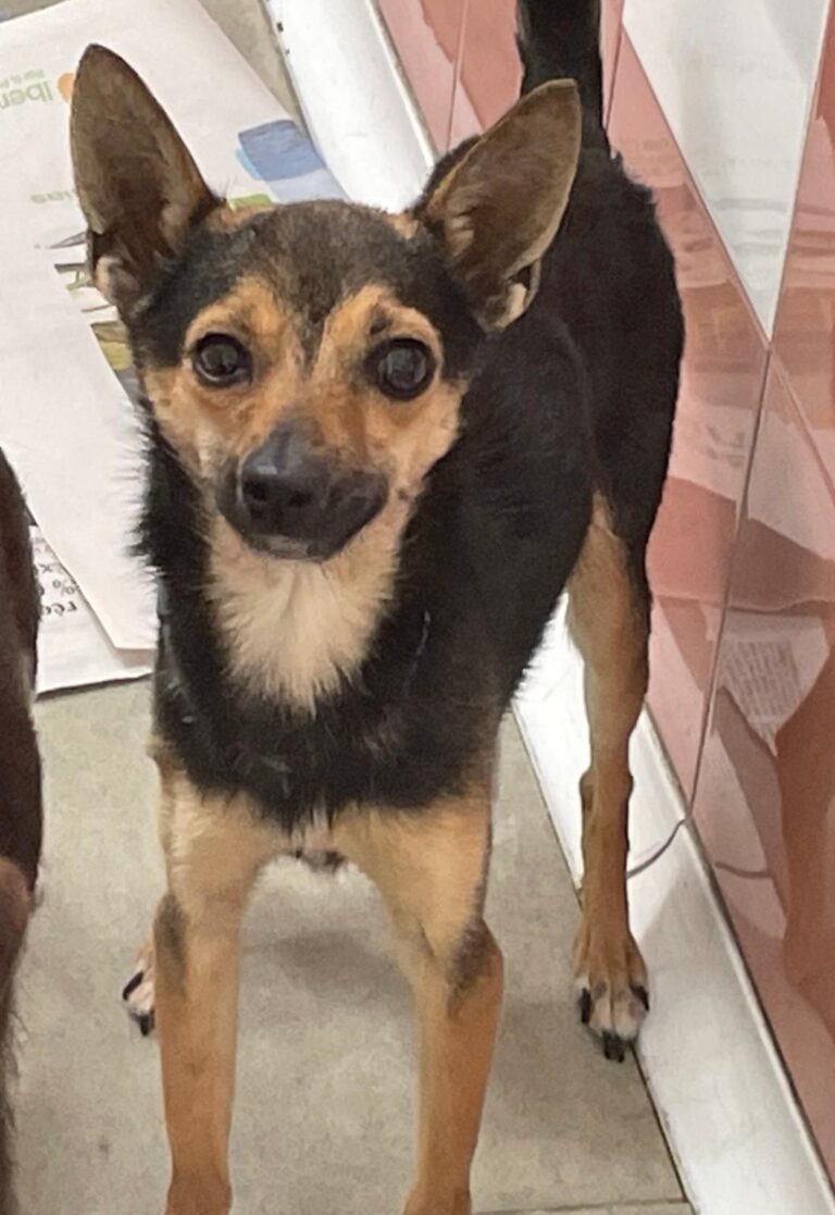 multimedia-foto88375-807-1