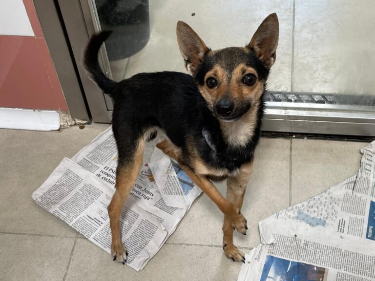 multimedia-foto88377-807-1