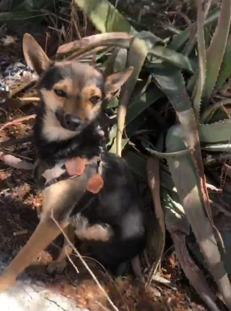 multimedia-foto88378-807-1