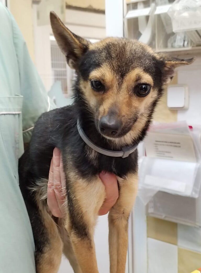 multimedia-foto88379-808-1