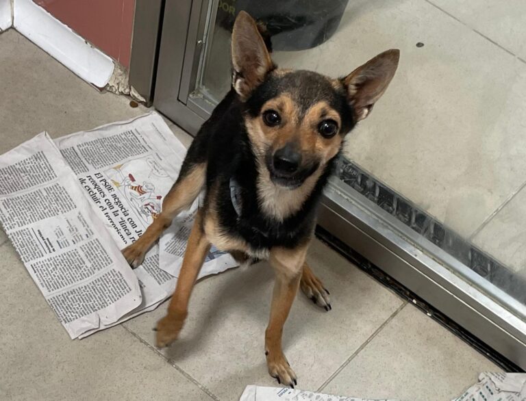 multimedia-foto88380-808-1