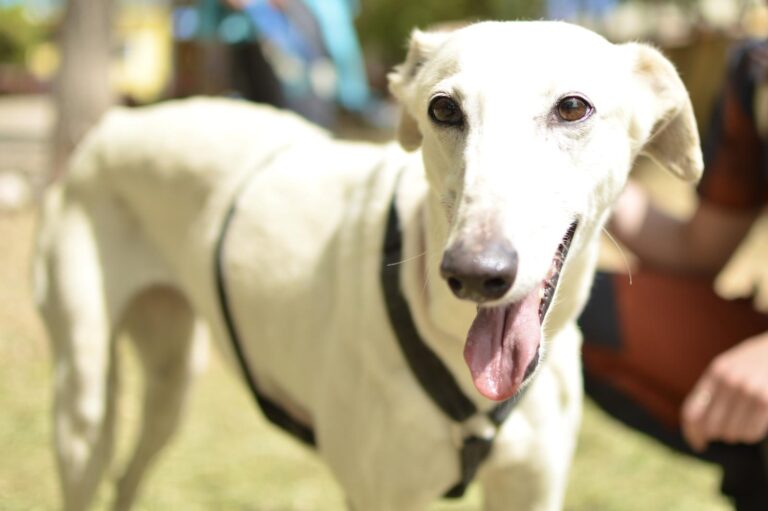 multimedia-foto88404-642-1