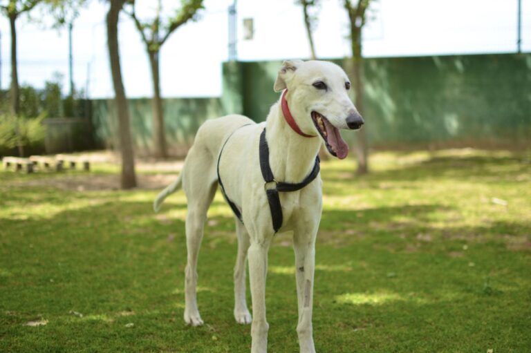 multimedia-foto88406-643-1