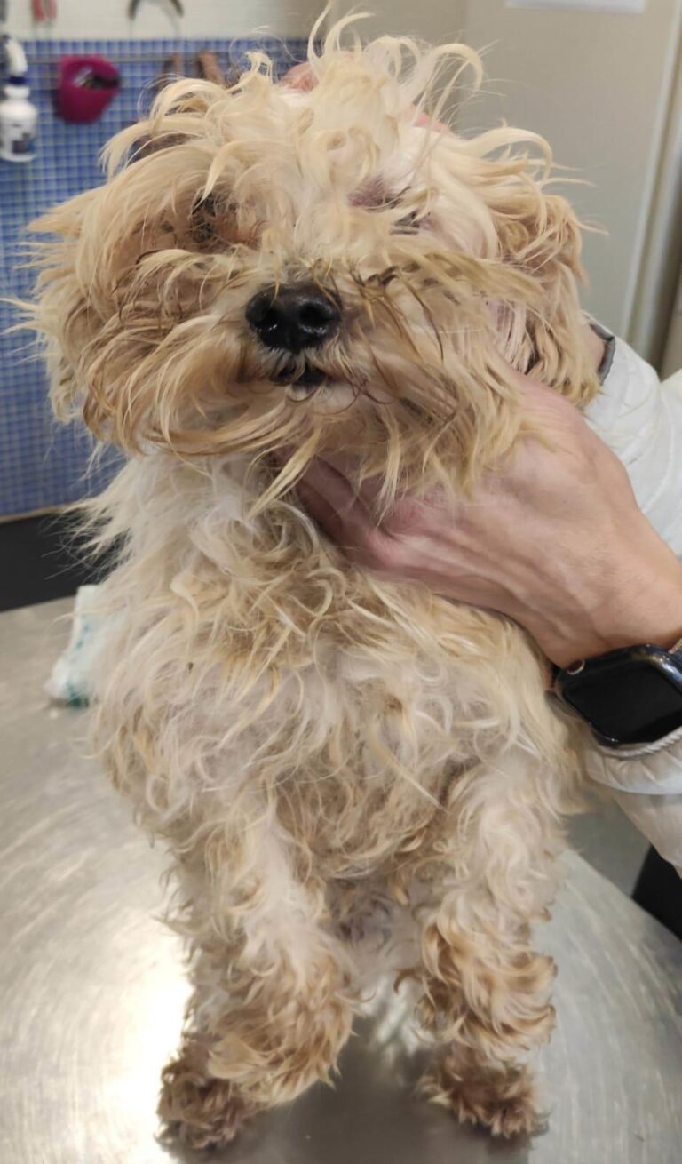 multimedia-foto88420-58-1